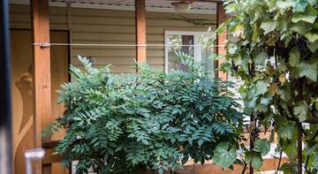 Фото номера Коттедж Гостиница Guest House Ageev г. Лазаревское 3